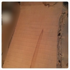 銀杏　盤木1枚　イチョウ　＊カウンター　まな板　テーブルの画像