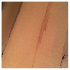 銀杏　盤木1枚　イチョウ　＊カウンター　まな板　テーブルの画像