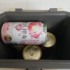 クーラーボックス　ツインバードの画像