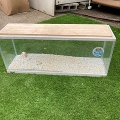 GEX 水槽　差し上げます
