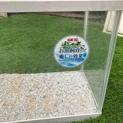 GEX 水槽　差し上げますの画像