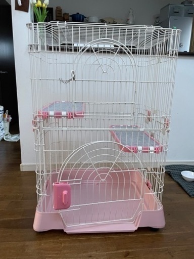 イイナ キャットケージ 猫