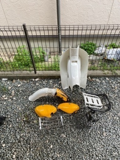 リトルカブのいろいろ