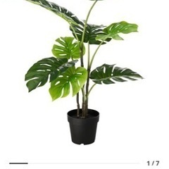 IKEA 人工観葉植物　フェイカ