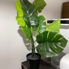 IKEA 人工観葉植物　フェイカの画像