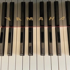ピアノレッスン🎹✨【体験レッスン受付中🌱】板倉町ピアノ教室にて♪