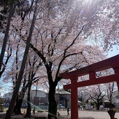 神社仏閣散策興味ある方
