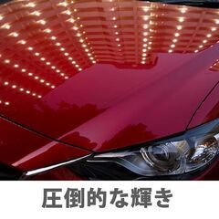 ガラスコーティング・コーティング剤・メンテナンス剤・ワックス・洗車・ガラスコーティング剤・自転車・バイク・クロモリ・カーボン・アルミ・ロードバイクお試し100ml ガラスコーティング剤 SG-MAX 車 バイク スマホ iphone アイフォン アップルウォッチ ロードバイク コーティング剤 水回り 水まわり 下地処理 スノーボード ワックス 洗面台 トイレ 墓石 シンクの画像