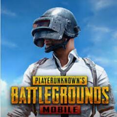 PUBG仲間