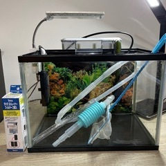 【取引完了】M水槽　金魚育成スターターセット