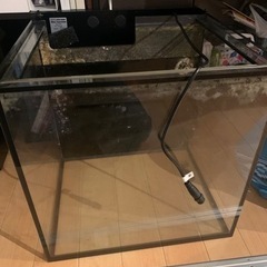 Red sea max nano セット　おまけ付き