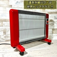 【世界トップ‼️】サンラメラ✨ 遠赤外線パネルヒーター600W⭕️ 地域配送無料🚛の画像