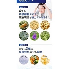 新品未開封！ウィズスカルプ01 WIZ SCALP 01 育毛剤 医薬部外品 男性用 育毛トニック 発毛促進 120mlの画像