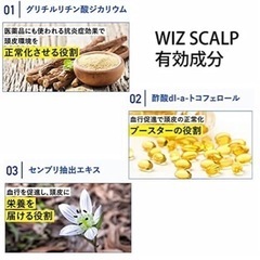 新品未開封！ウィズスカルプ01 WIZ SCALP 01 育毛剤 医薬部外品 男性用 育毛トニック 発毛促進 120mlの画像