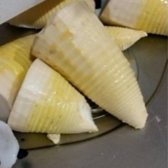 竹林をお持ちの方！タケノコ掘りさせてください🙇‍♂️