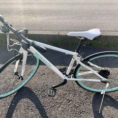 Bianchi ROMA4 クロスバイク ホワイト