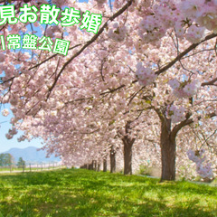 良縁お花見おさんぽ婚　5/7(土)45歳以上、5/8(日)30,...