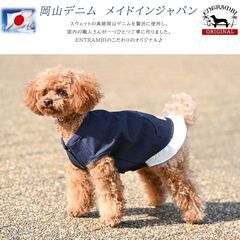 犬服 縫製 内職 募集の画像