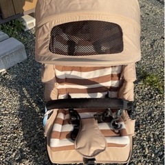 決定しました。