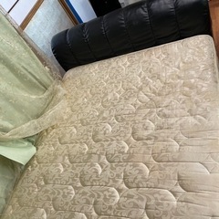 ダブルベット取りに来てくれるかた、