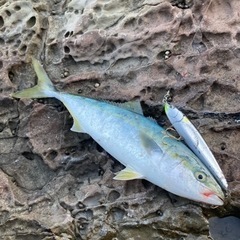ルアー釣りの方集まれ！