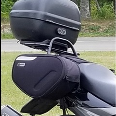 G.Wお安くしました！バイク用サイドバッグ　DEGNERブラック...