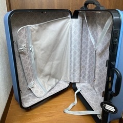 大型キャリーバッグの画像