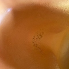 バンボの画像
