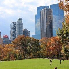 ZOOM ★TOEIC(L&R)★レッスン＆アドバイス★プロコーチが目標達成の近道コースへのガイドします。オンライン、または対面レッスンの画像