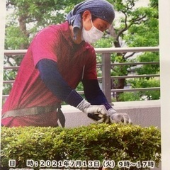 〈経験・年齢不問〉植木職人・アシスタント