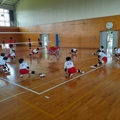 🌸メンバー募集🌸小学生女子バレーボールチームです🏐