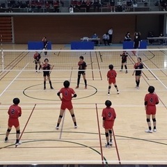 🌸メンバー募集🌸小学生女子バレーボールチームです🏐 - メンバー募集
