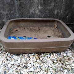 陶器　盆栽用の鉢