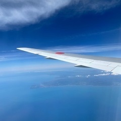 旅仲間欲しいです🐘