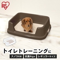 犬 トイレ 
