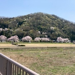ゴールデンウィーク😁