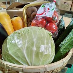 野菜セット400円～！掘り出し物もあるかもね！！