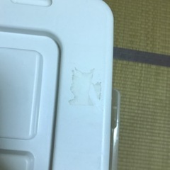 衣類収納ボックスの画像