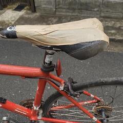 ロードバイク　写真が全てですの画像