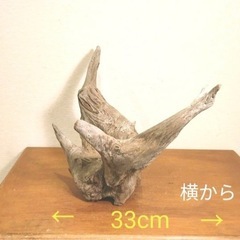 流木（大）の画像
