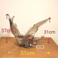 流木（大）