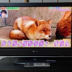 SONY KDL-32V 2500