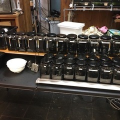 メダカ即売会の準備が整いました😌