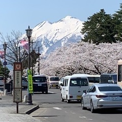 硬式テニス仲間募集でーす - 八戸市