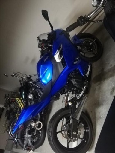 2019年式 走行距離5000キロ 新古車 ニンジャ250