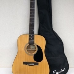 OGK-027 楽器 Lumber ランバー LDG10NA ア...
