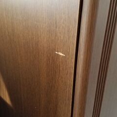比較的きれいな収納だと思います。の画像