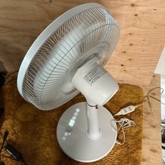● 扇風機、2019年の画像