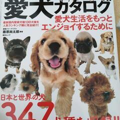愛犬カタログ347犬種