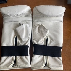 パンチンググローブの画像